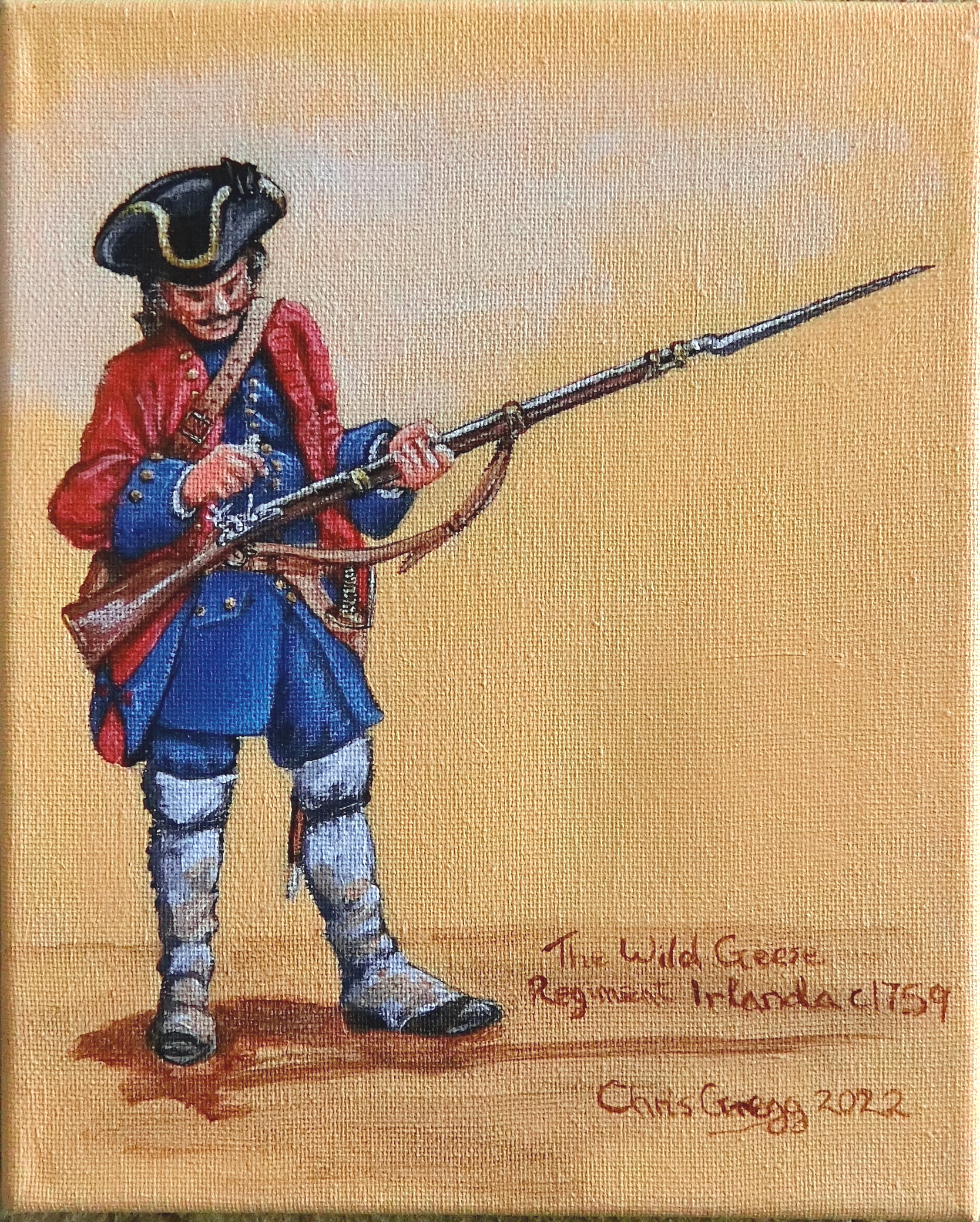 Regiment Irlanda - Musketeer  c.1759