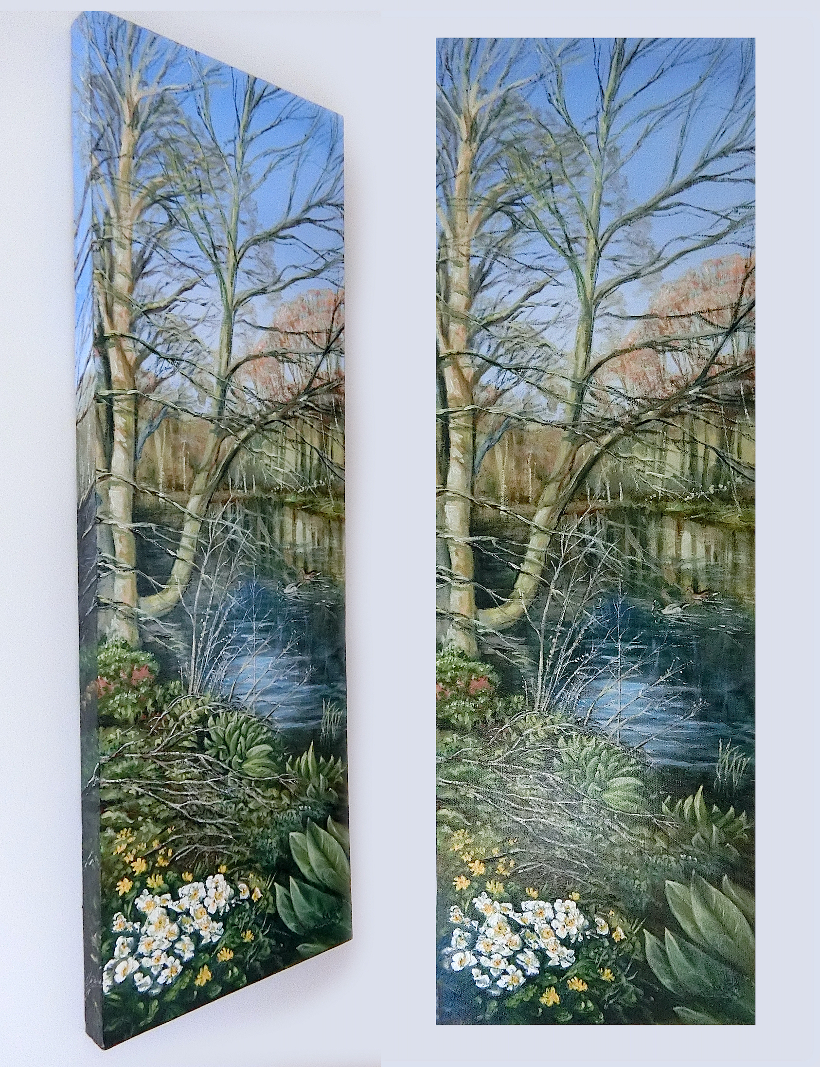 Primroses and Cellandines, Steanbridge Pond, Slad