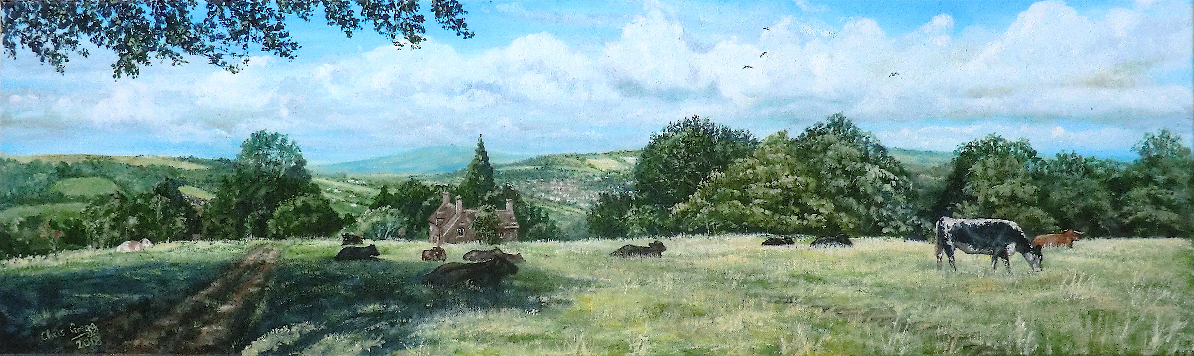 Resting Cows, Amberley, Near Stroud, Glos