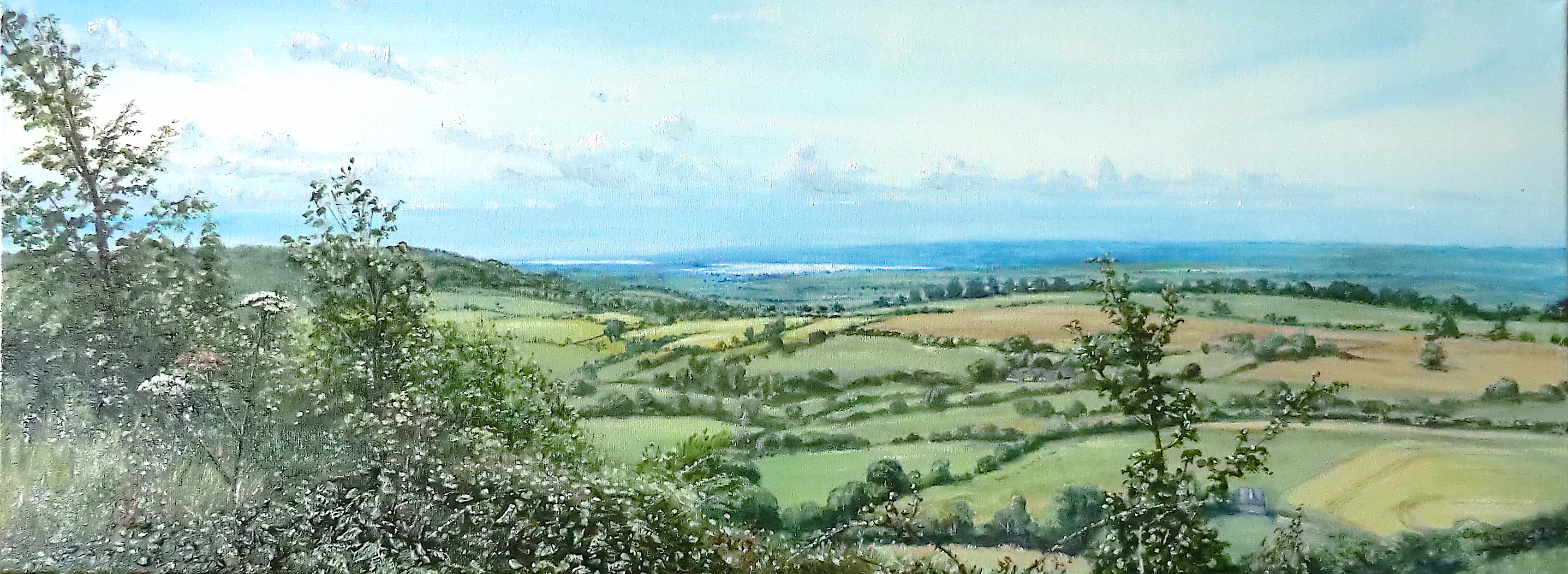 The Severn Bend from Painswick Beacon, Glos
