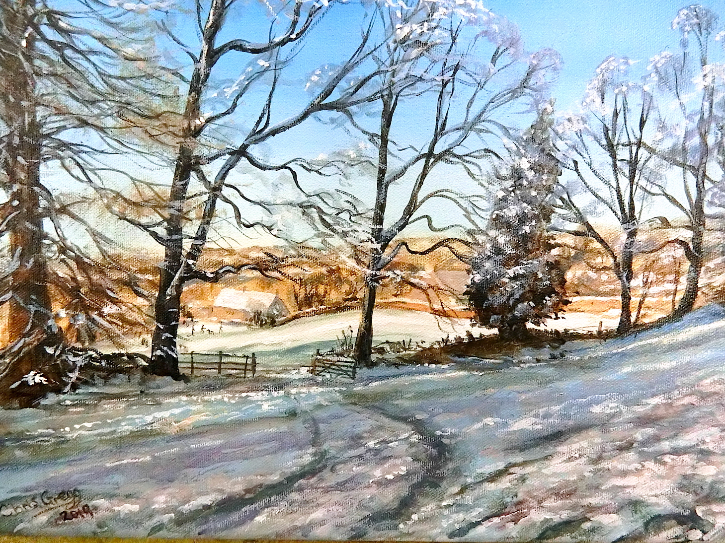 Walking to Bournes Green in the snow 